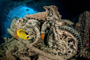 A motorbike on the wreck of SS Thistlegorm.  Slow shutter... by Paul Colley 